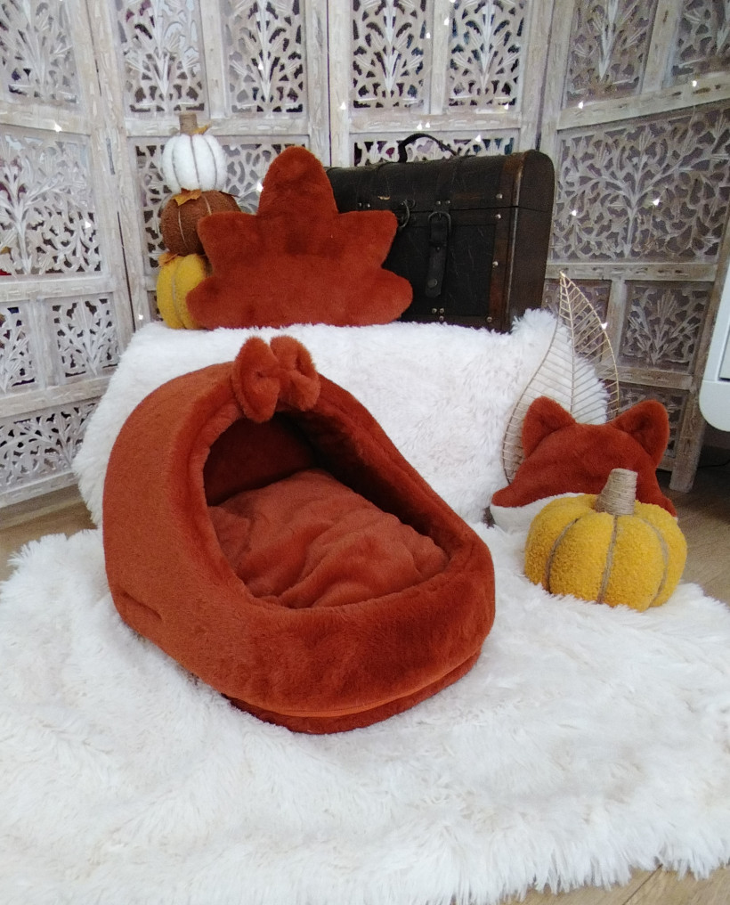 Softy - Ambroise - Roux Renard
