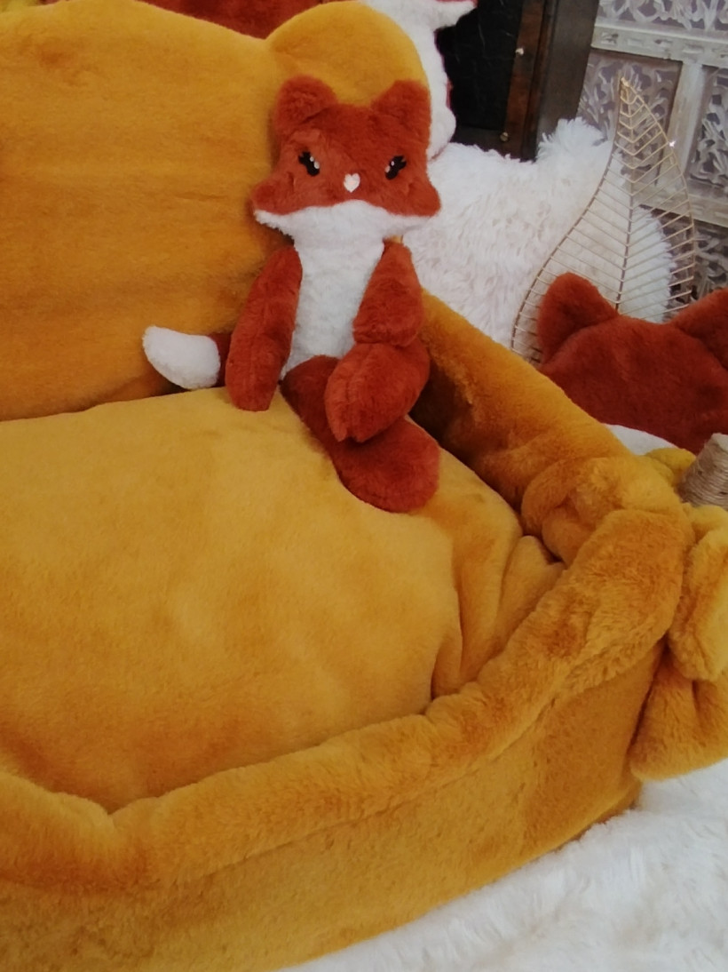 Mascotte Ambroise – le petit renard curieux