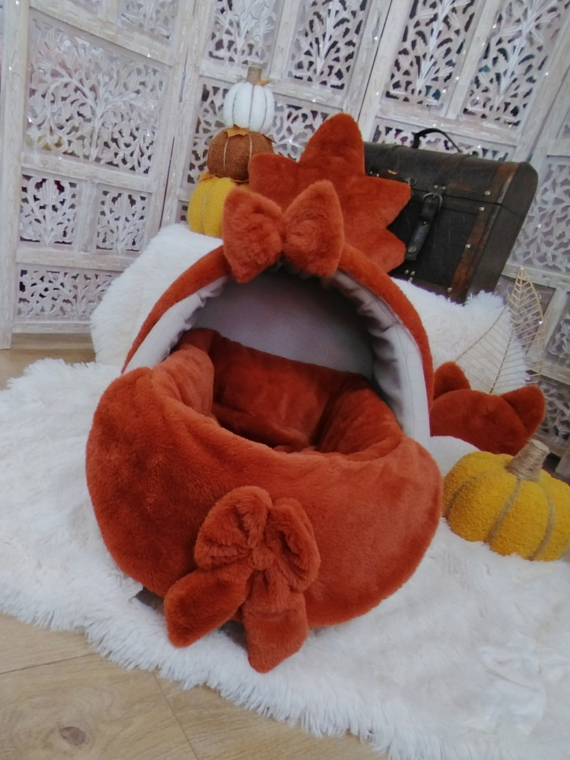Accessoires pour Softygloo - Ambroise - Roux Renard
