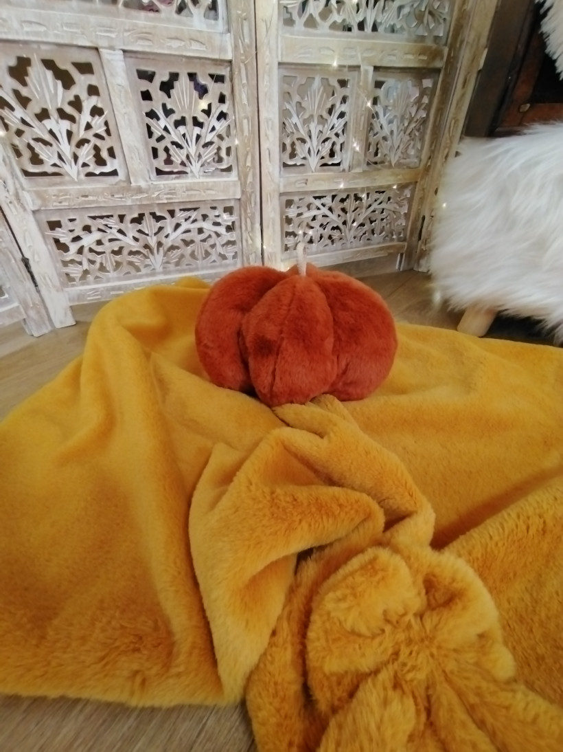 Coussin Citrouille - Ambroise - Roux Renard