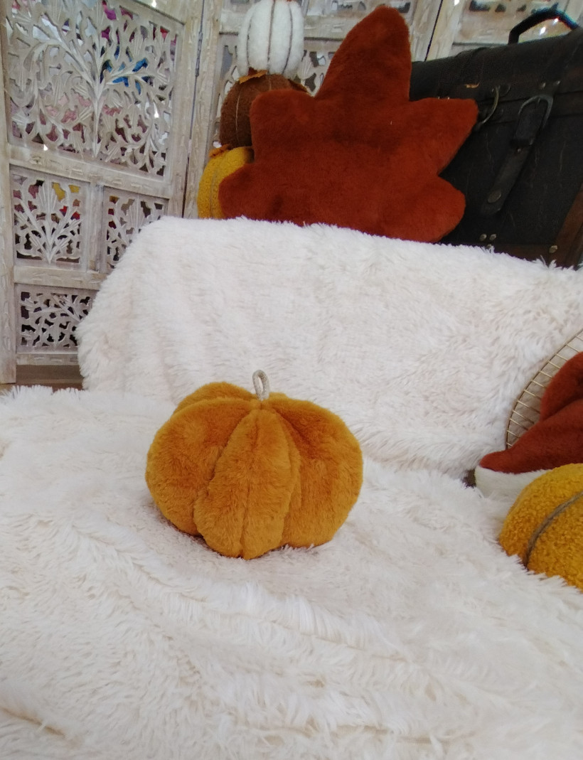 Coussin Citrouille - Ambroise - Miel