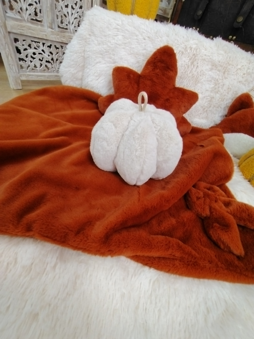 Coussin Citrouille - Crème de Lune