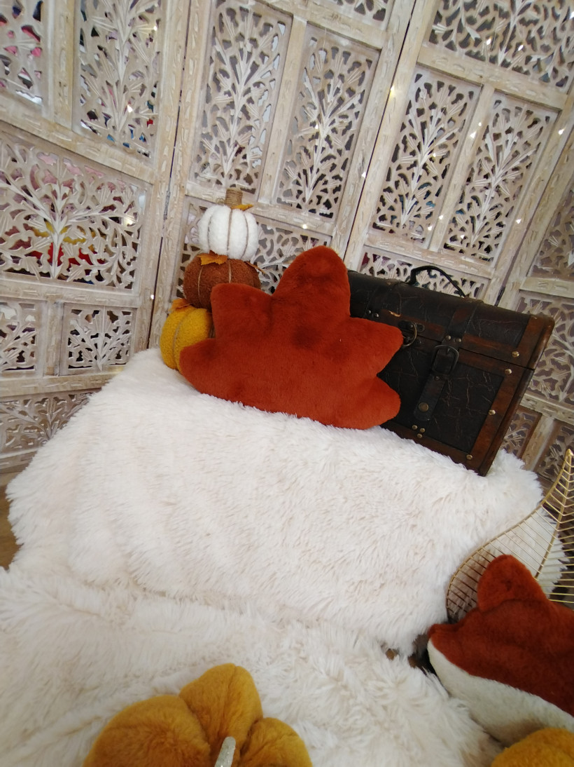 Coussin Feuille - Ambroise - Roux Renard