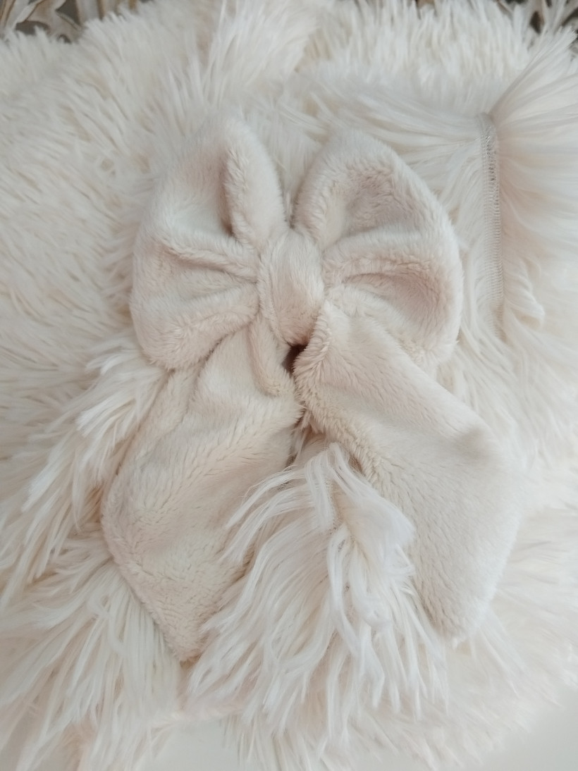 Couverture La Danse des Saisons - Vanille