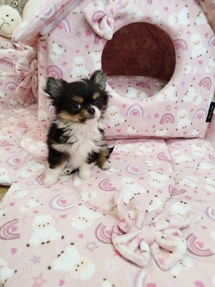 Maison - Les trois Petits Moutons de Madame M.