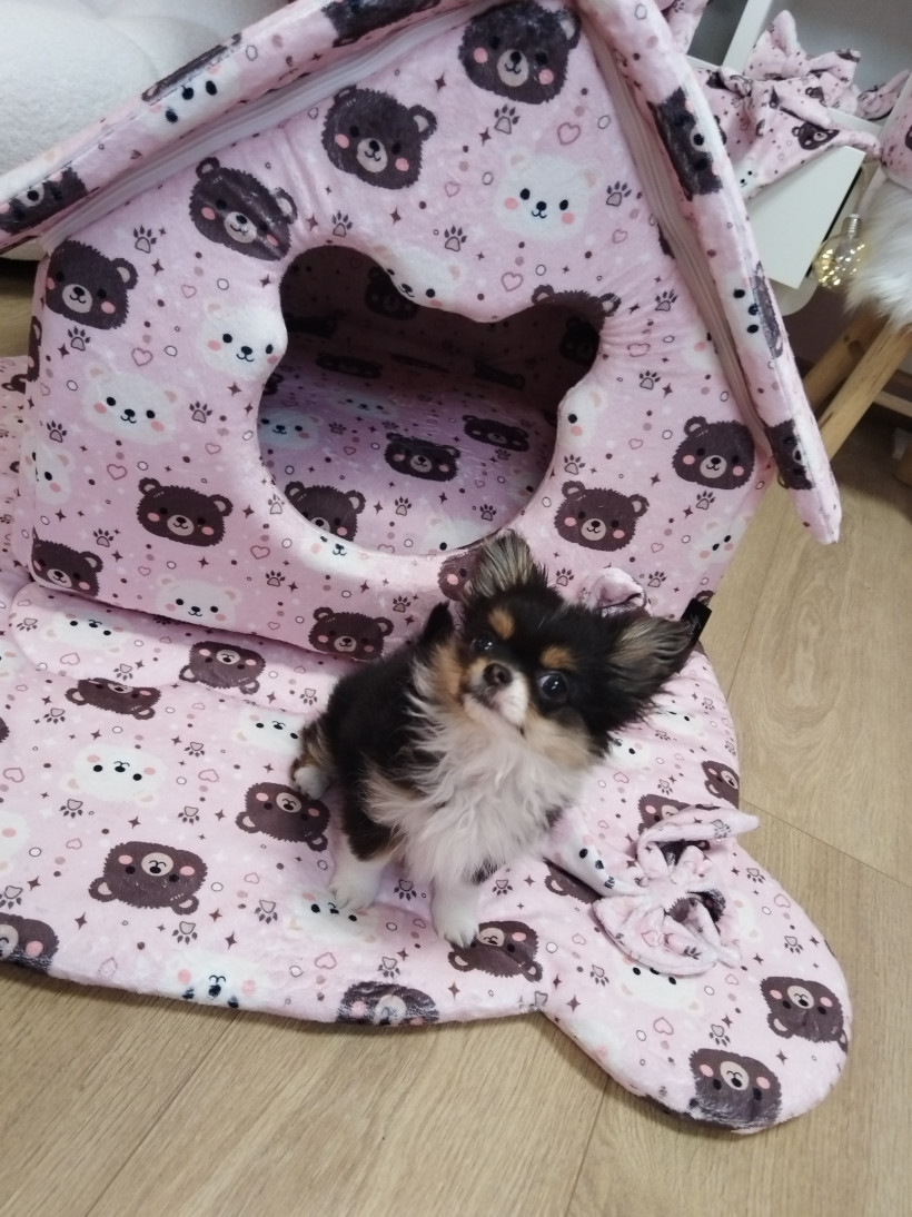 Maison - Ourson d'Amour