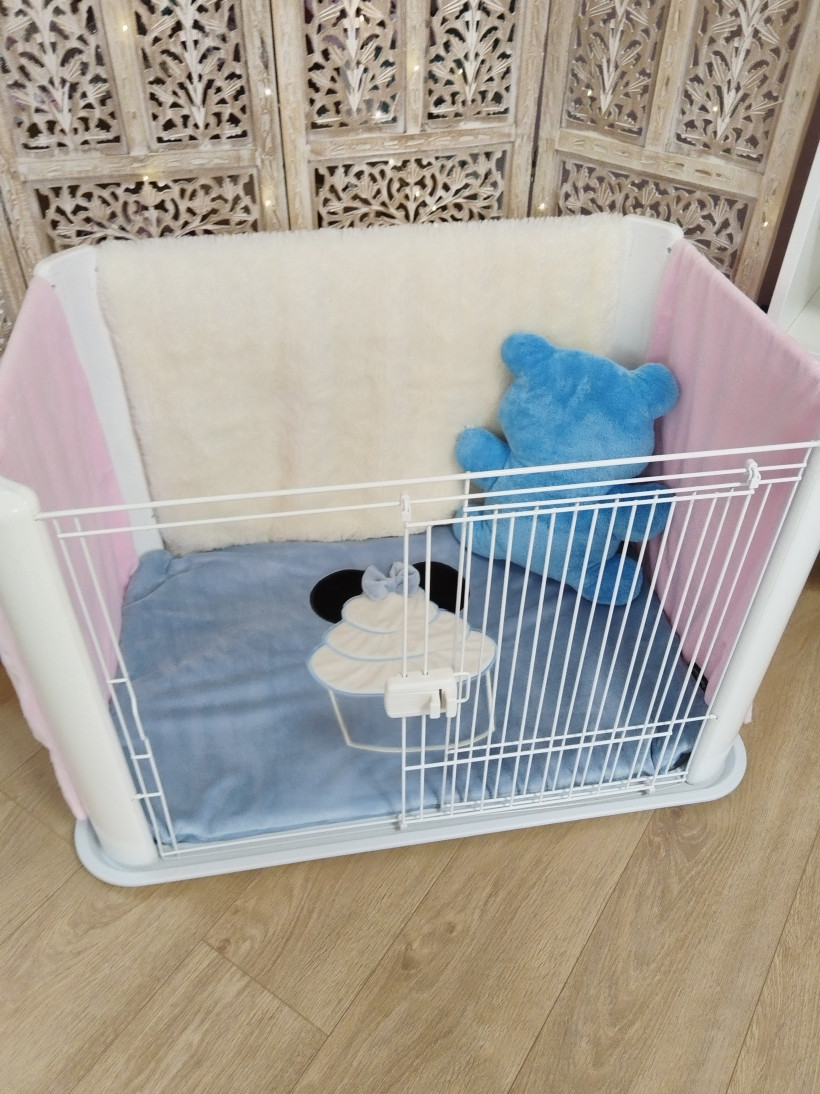 Petits Rêves en Rose et Bleu