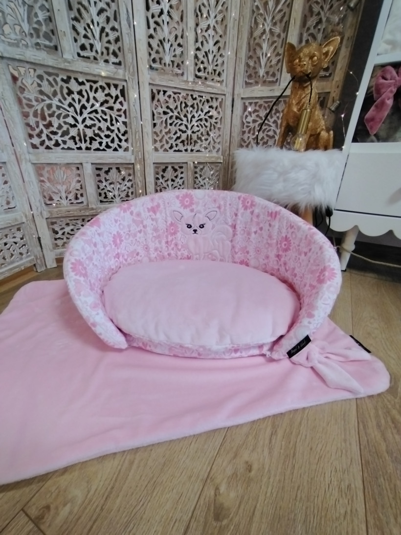 Looloo Lovea Chihuahua