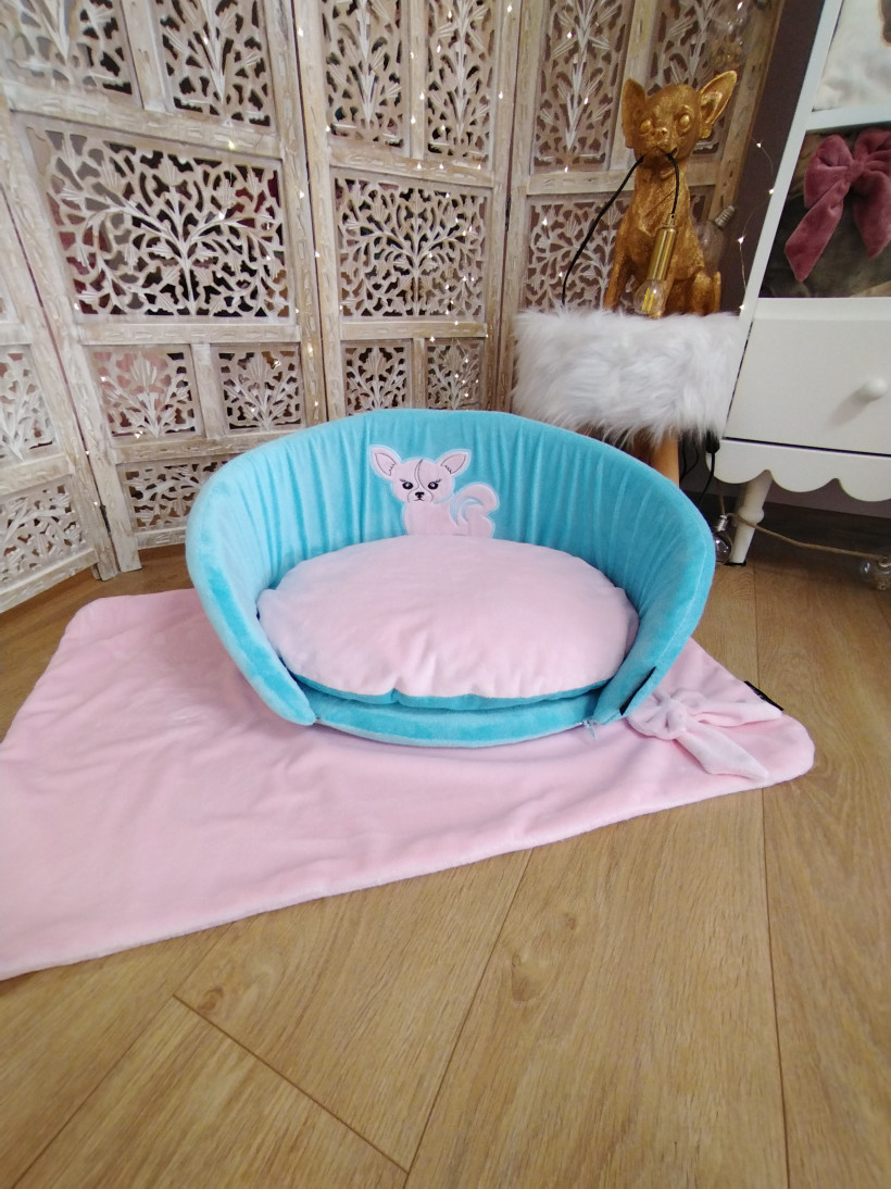 Looloo Ocean Chihuahua