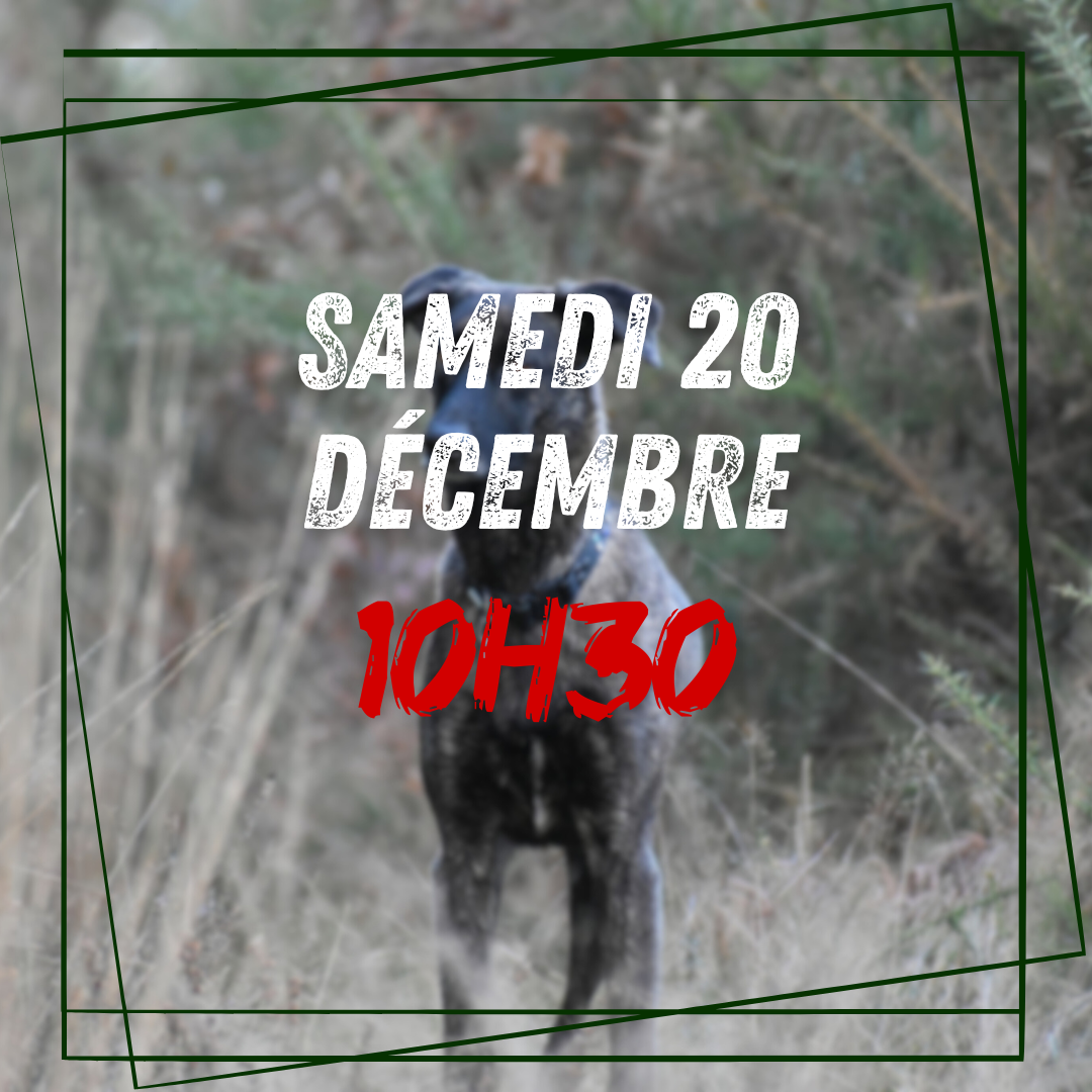 12~ Samedi 20 Décembre 10h30