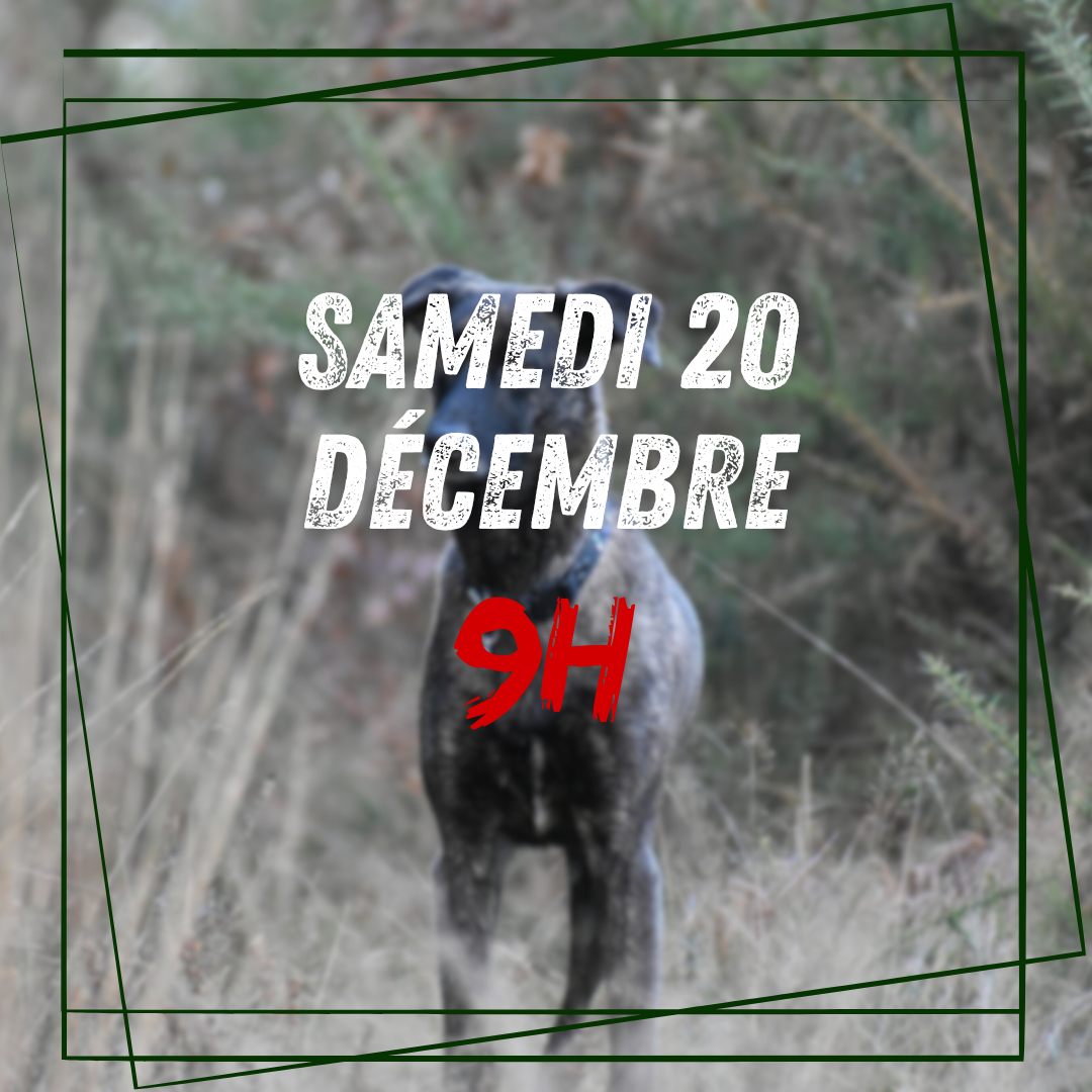 12~ Samedi 20 Décembre 9h