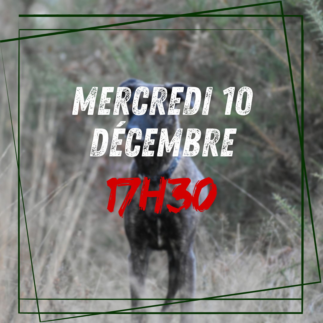 12~ Mercredi 10 Décembre 17h30