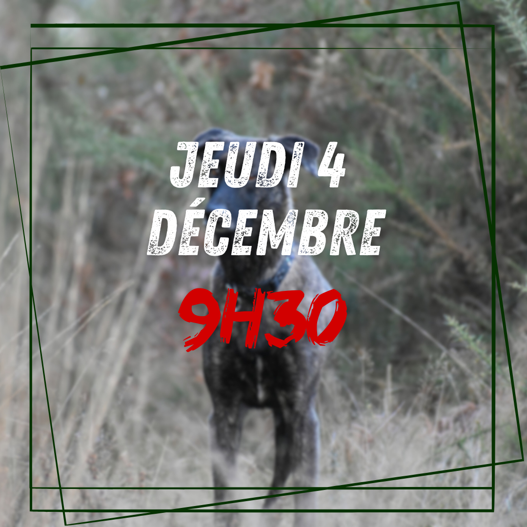 12~ Jeudi 4 Décembre 9h30