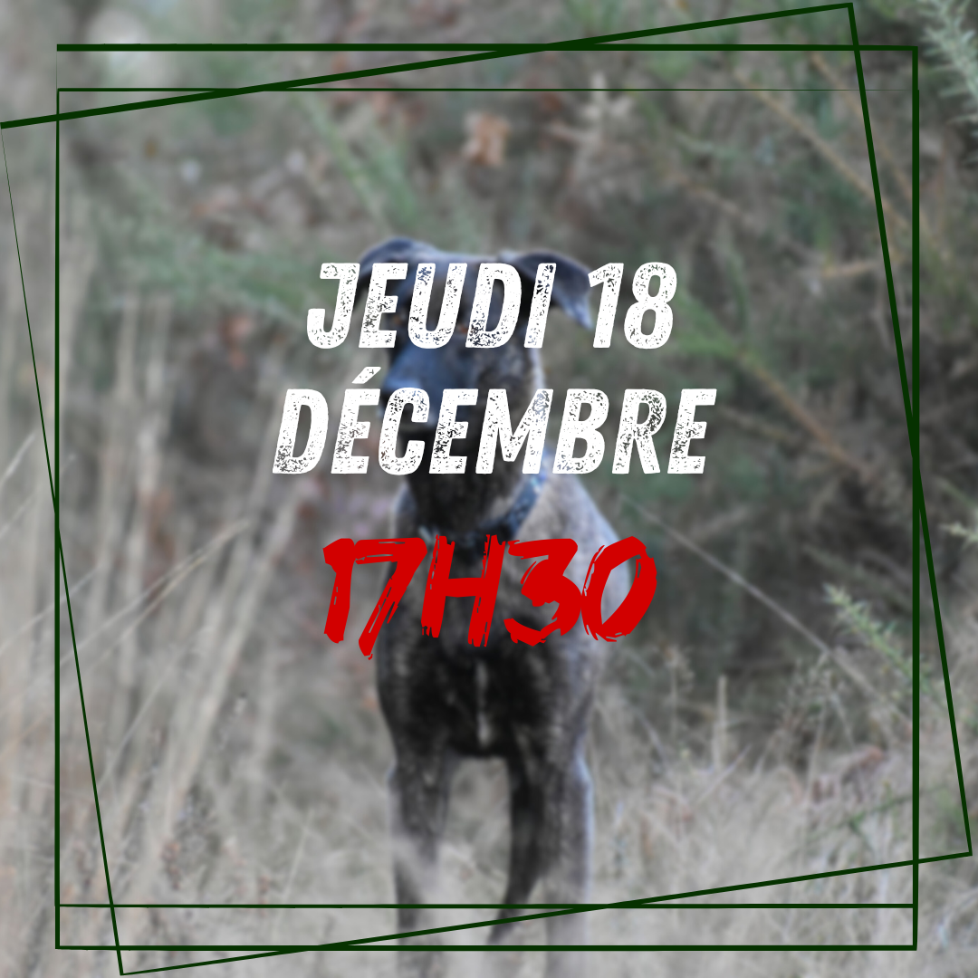 12~ Jeudi 18 Décembre 17h30