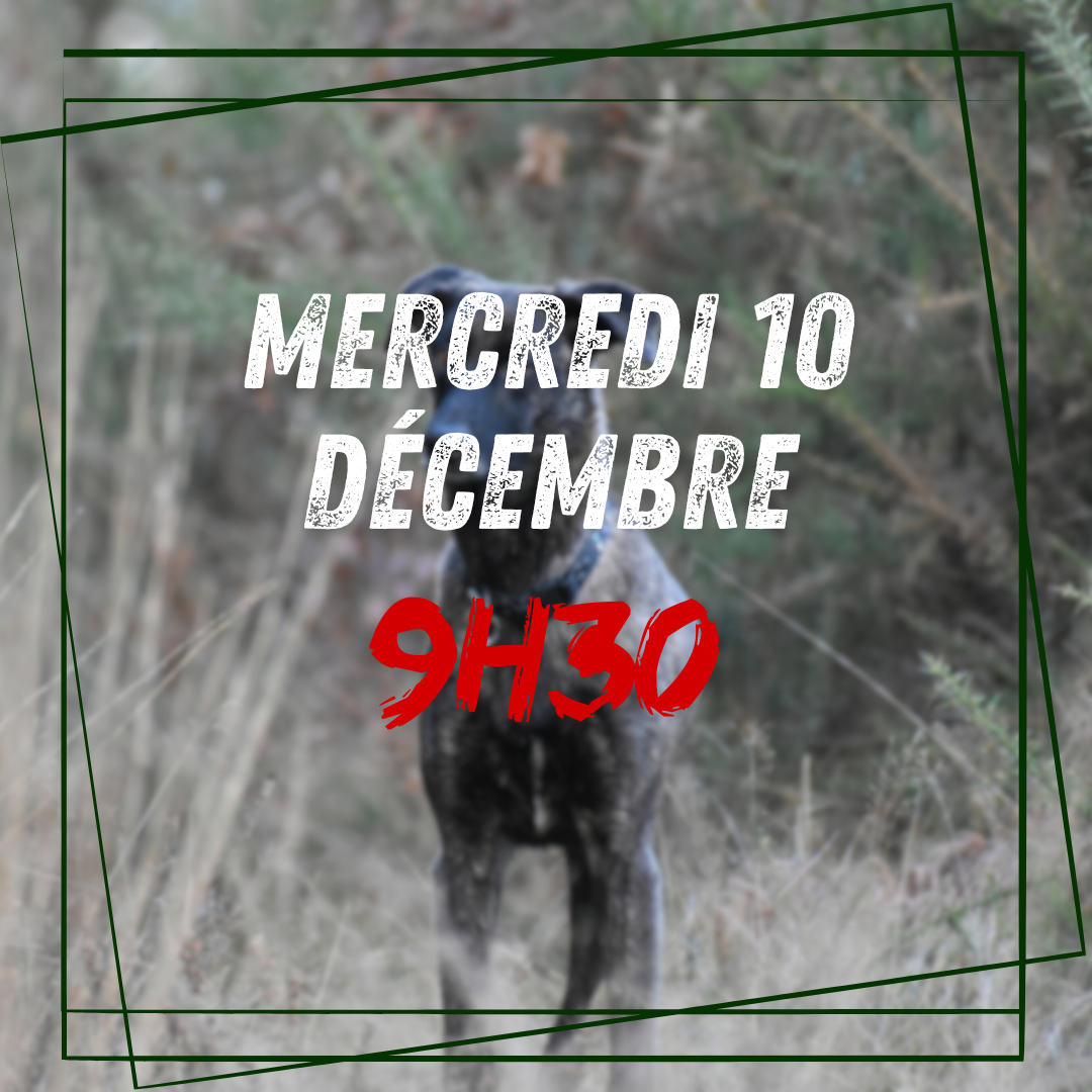 12~ Mercredi 10 Décembre 9h30