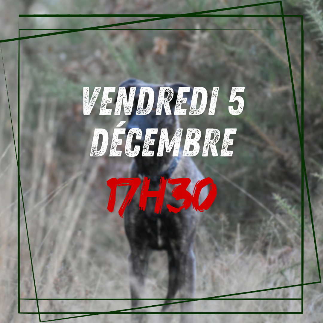 12~ Vendredi 5 Décembre 17h30