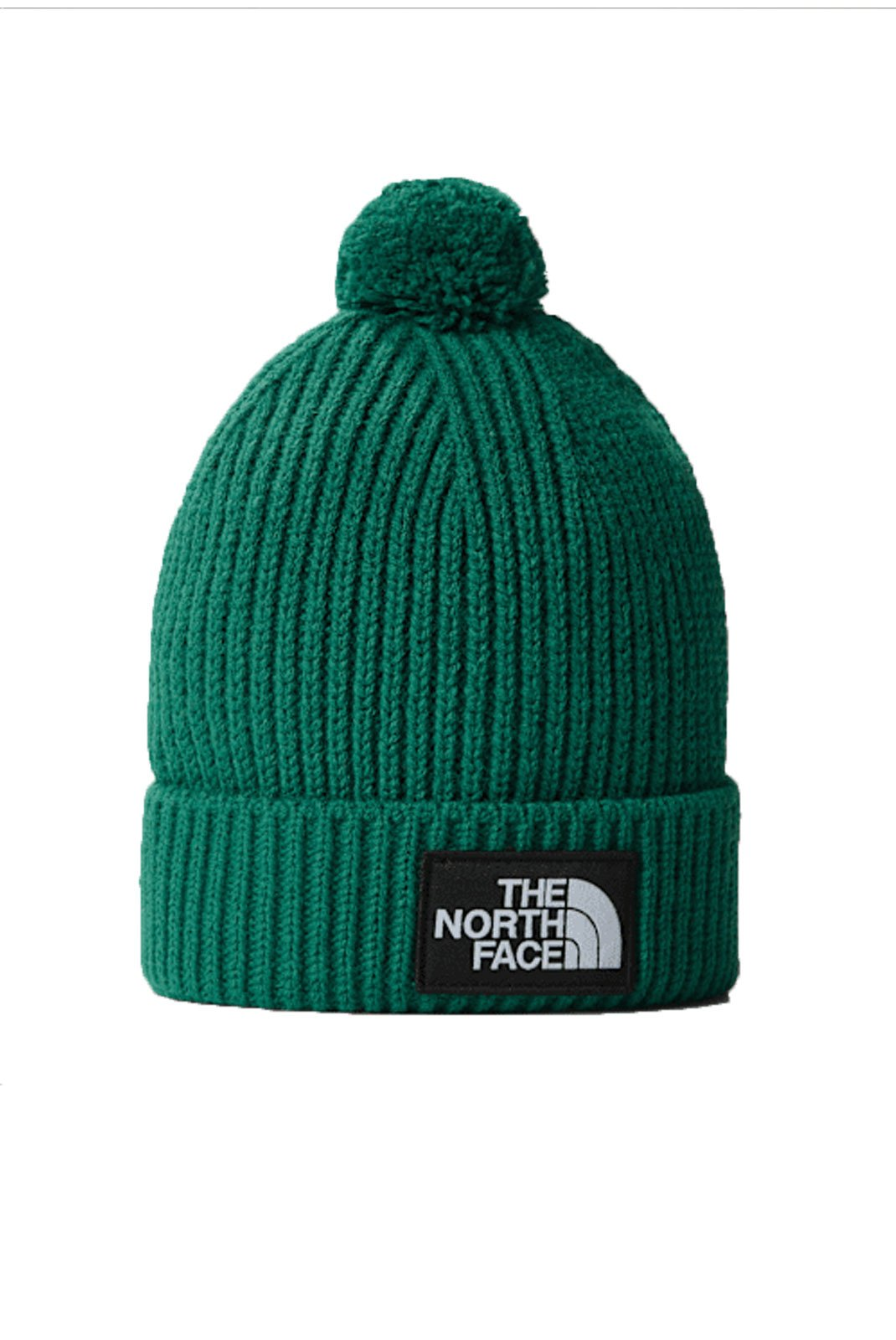 Bonnet pompon unisexe - The North Face (Vert)
