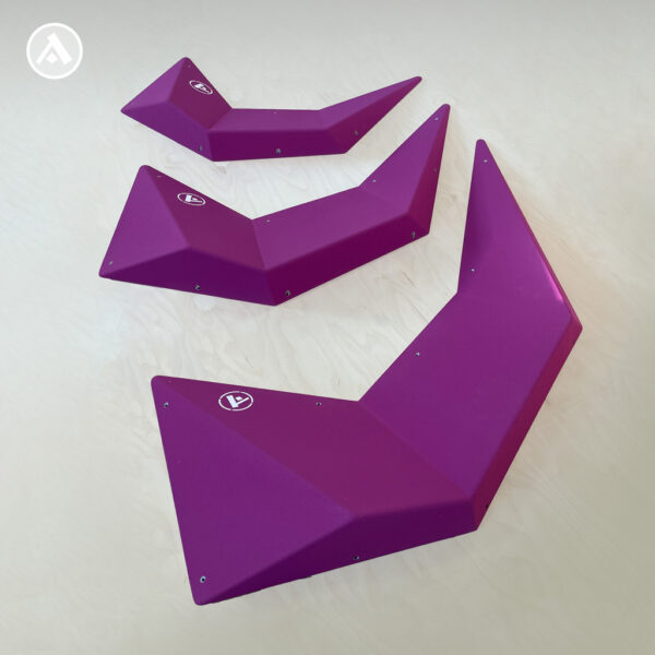 Iguana Family  (3 units) 