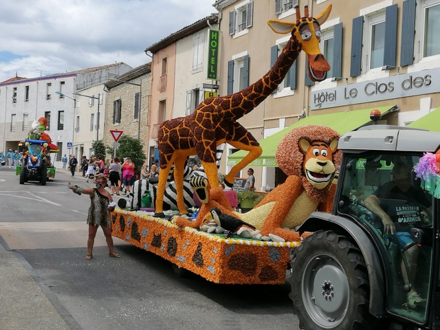 Bourg saint andeol 4