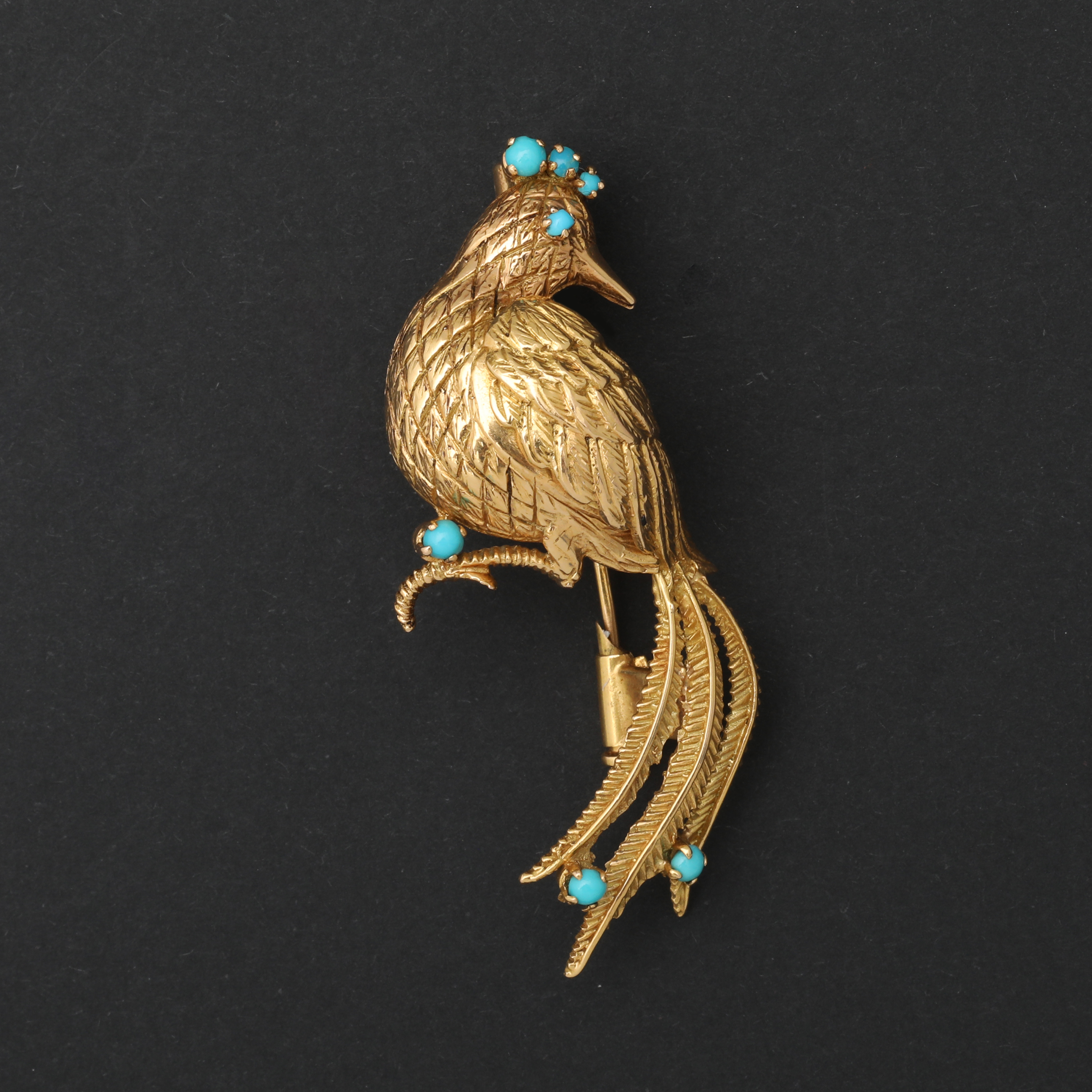 Bird Brooch with Beautiful Plumage