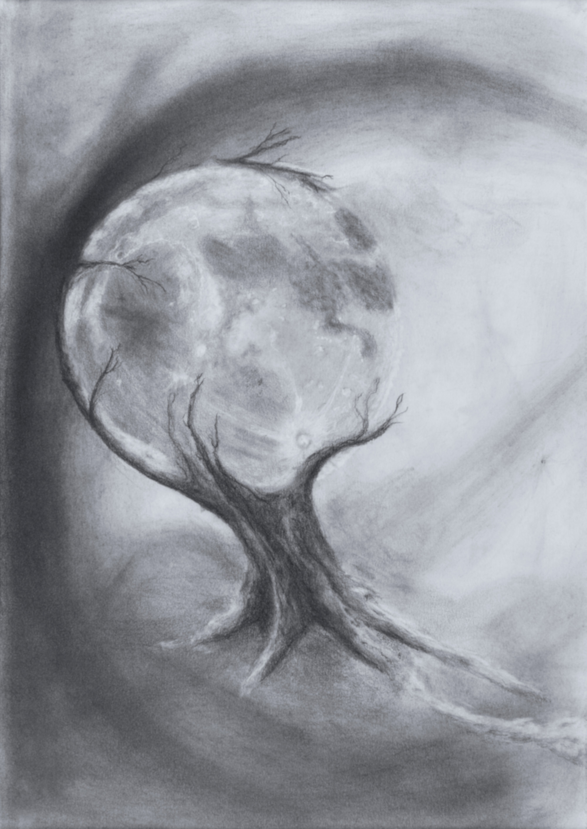 TreeMoon