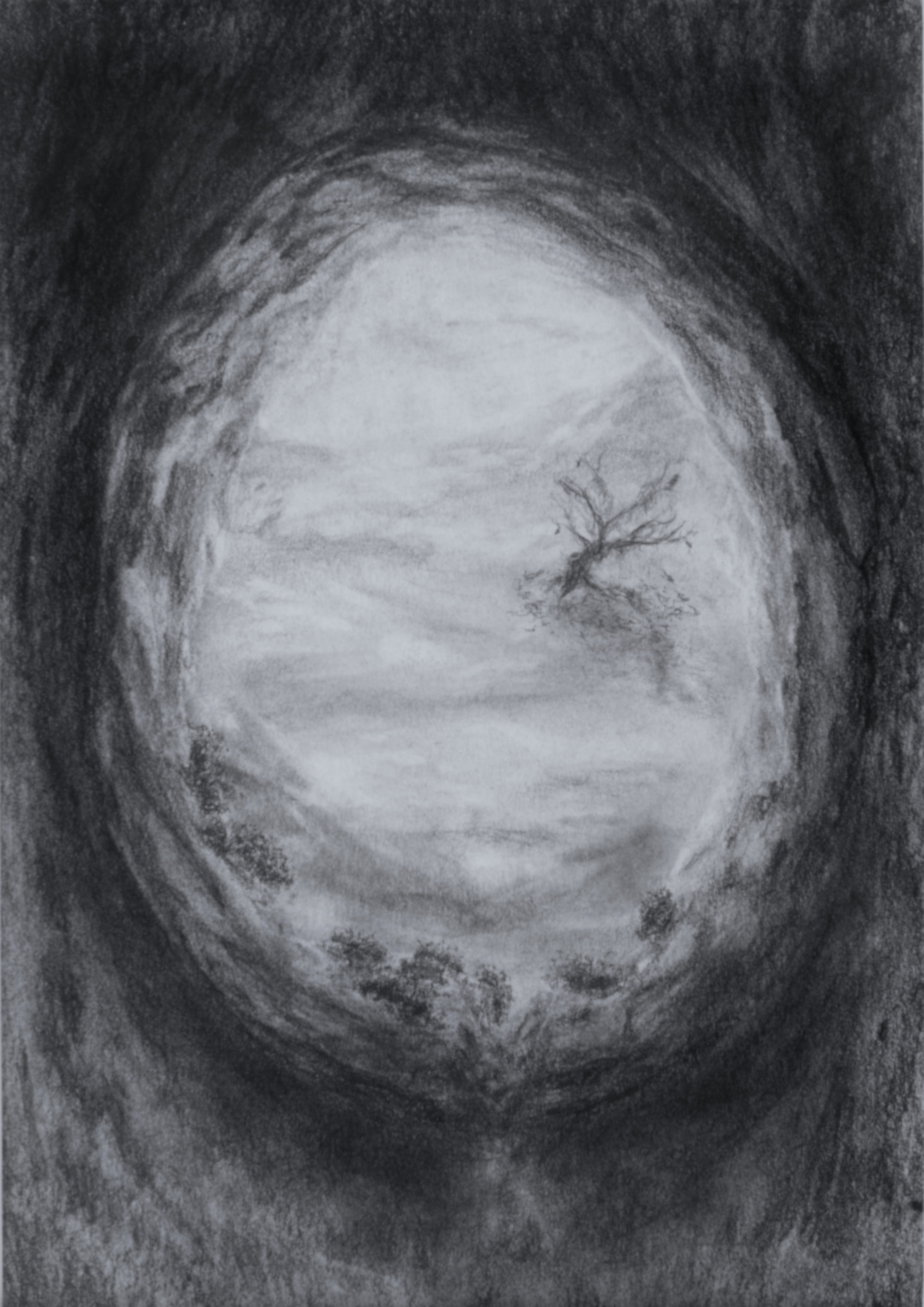 Du creux de l'Arbre