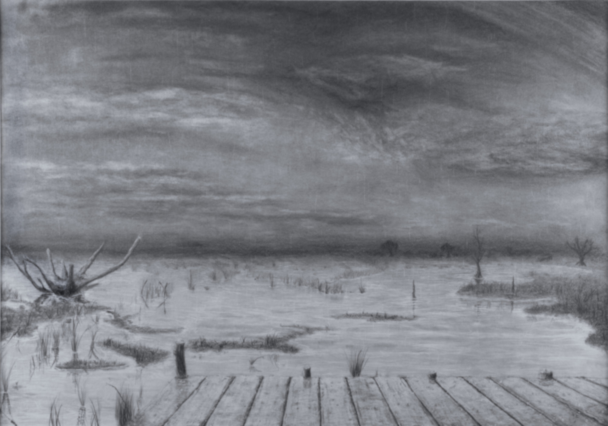 From The Hut In The Rainy Marshes