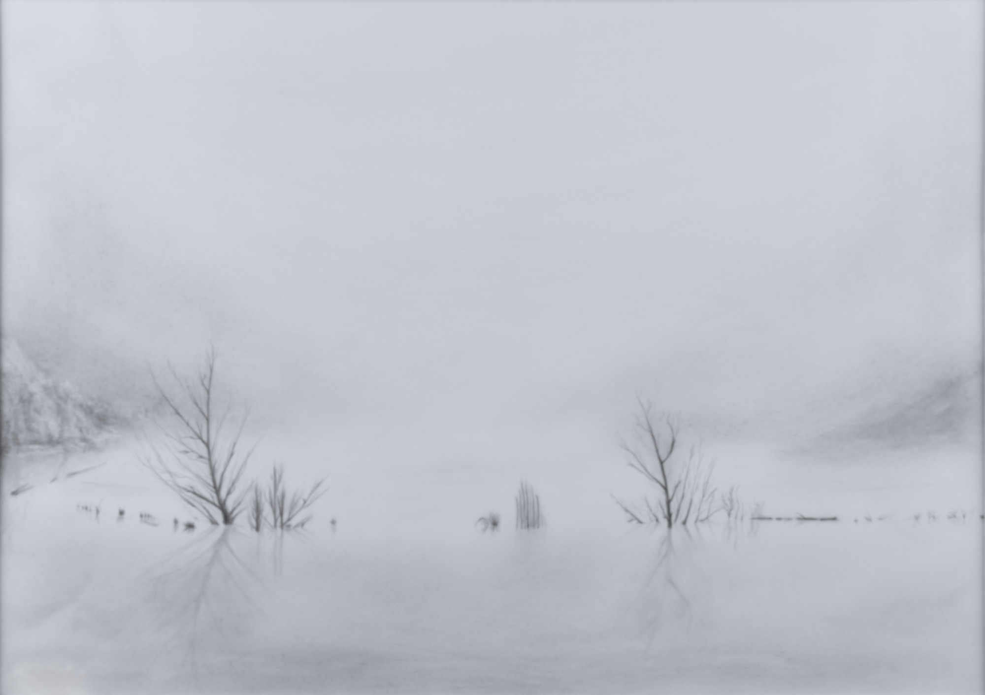 Misty Whisper