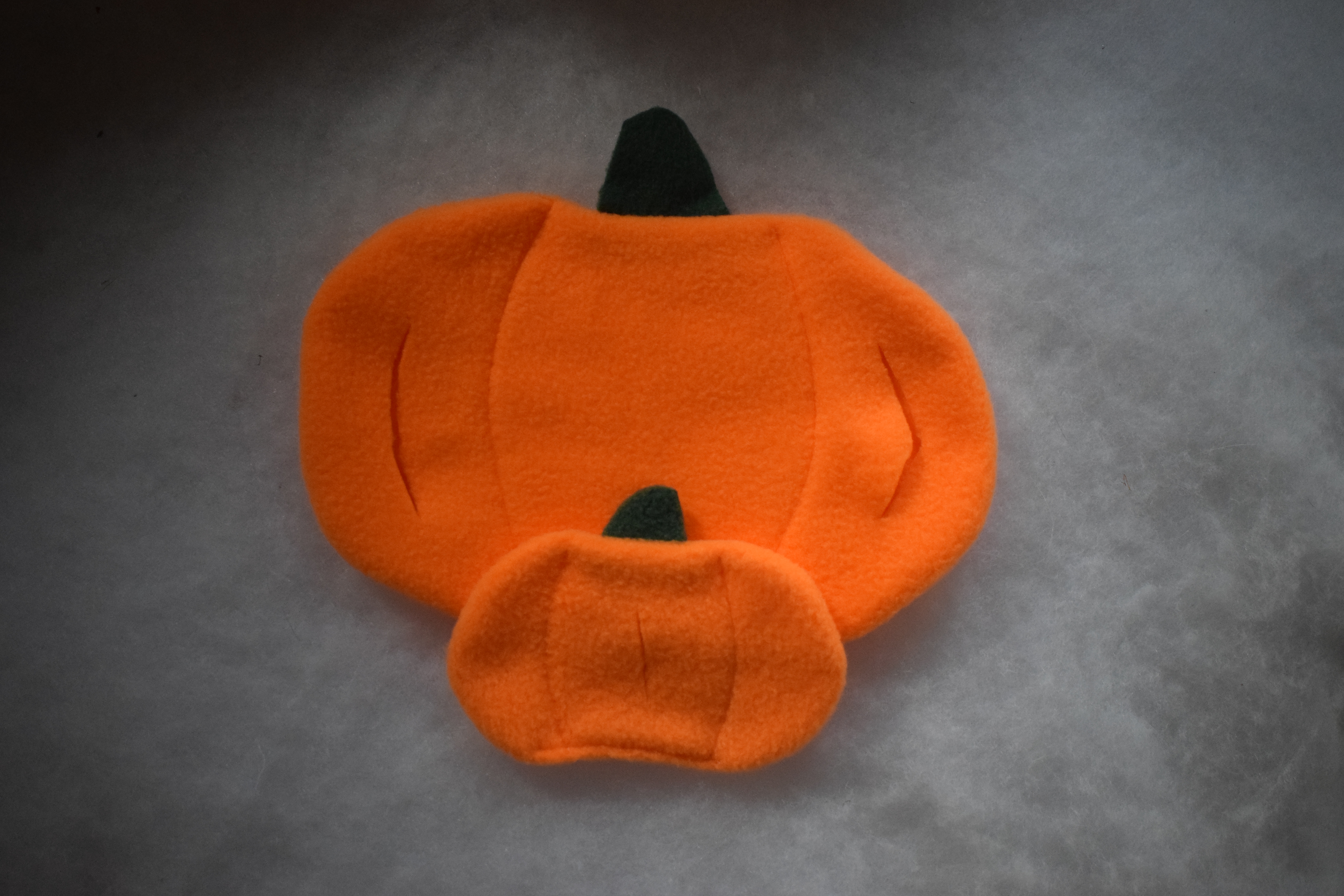 Citrouilles de fouille chien, chat et nac