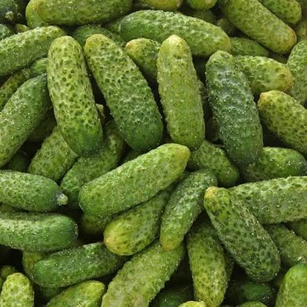 "Cornicombre"
