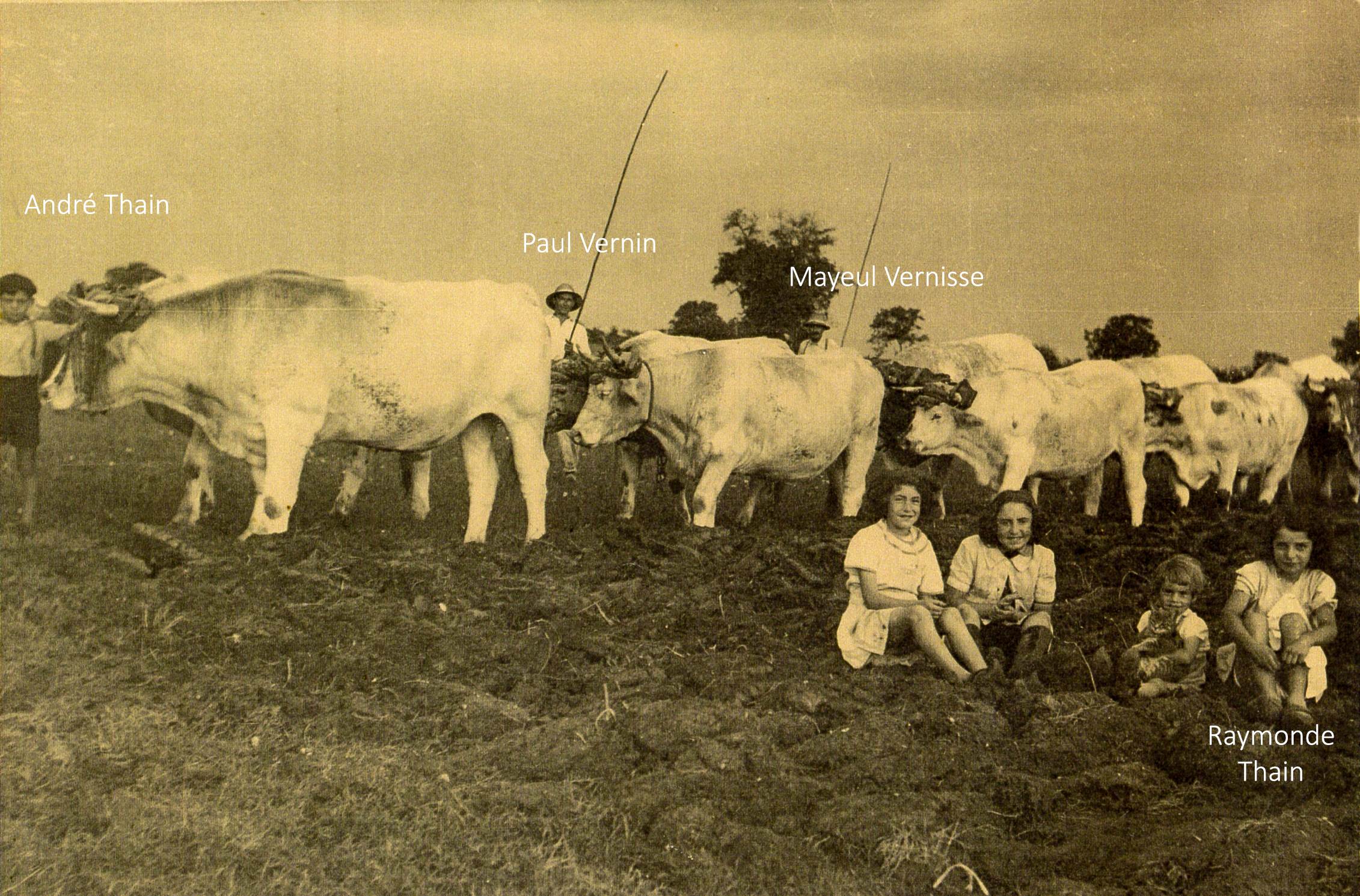 Le lonzat 1943