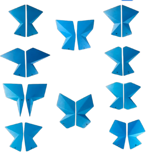  All Butterfly Pack (20 units) 