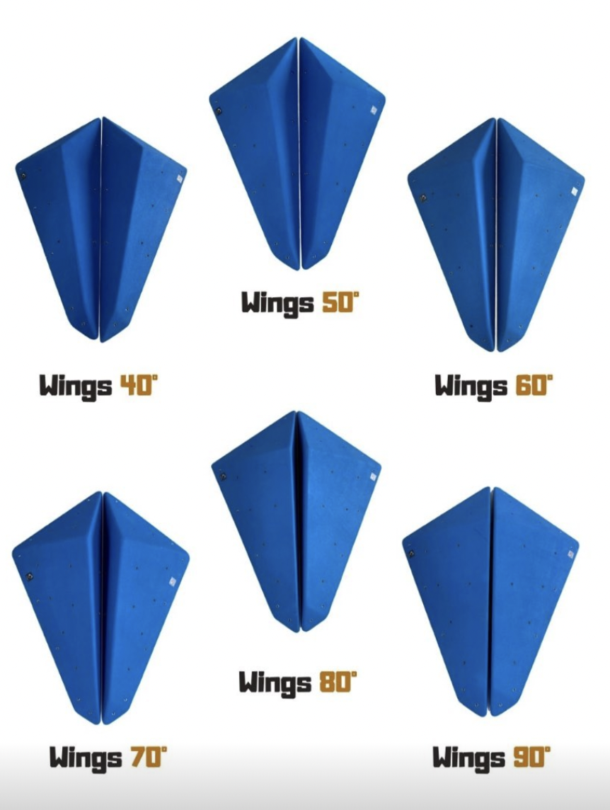  All Wings Pack (12 units)