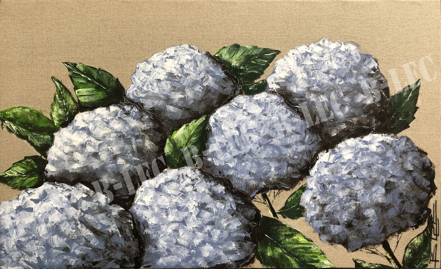 ..Les hortensias 