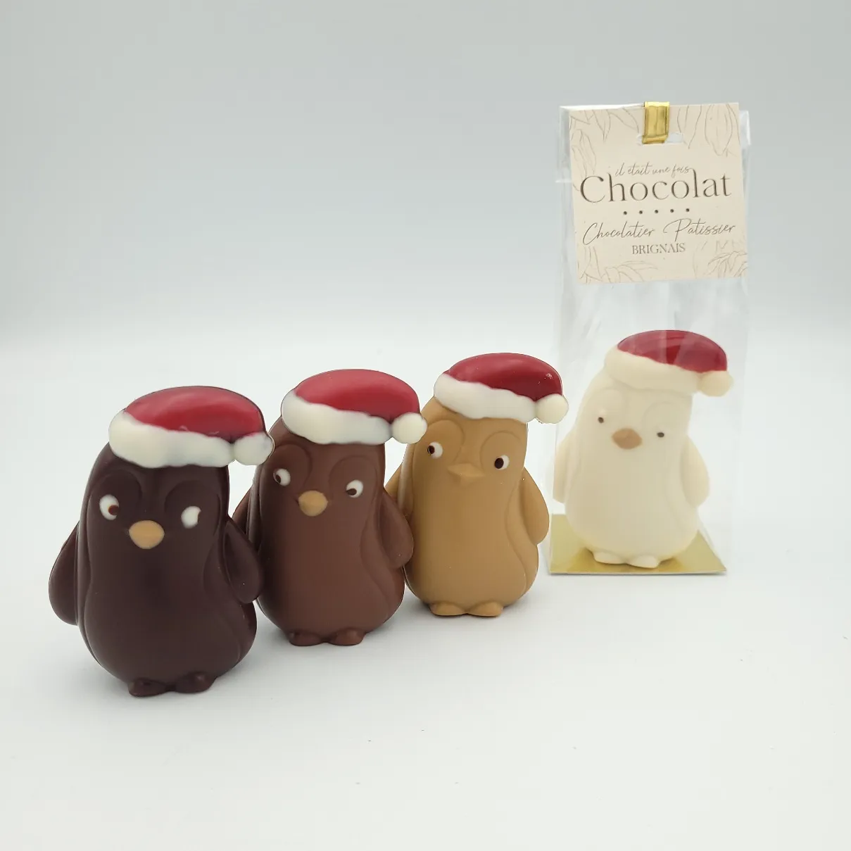 Moulage Pingouin Garni - 50g