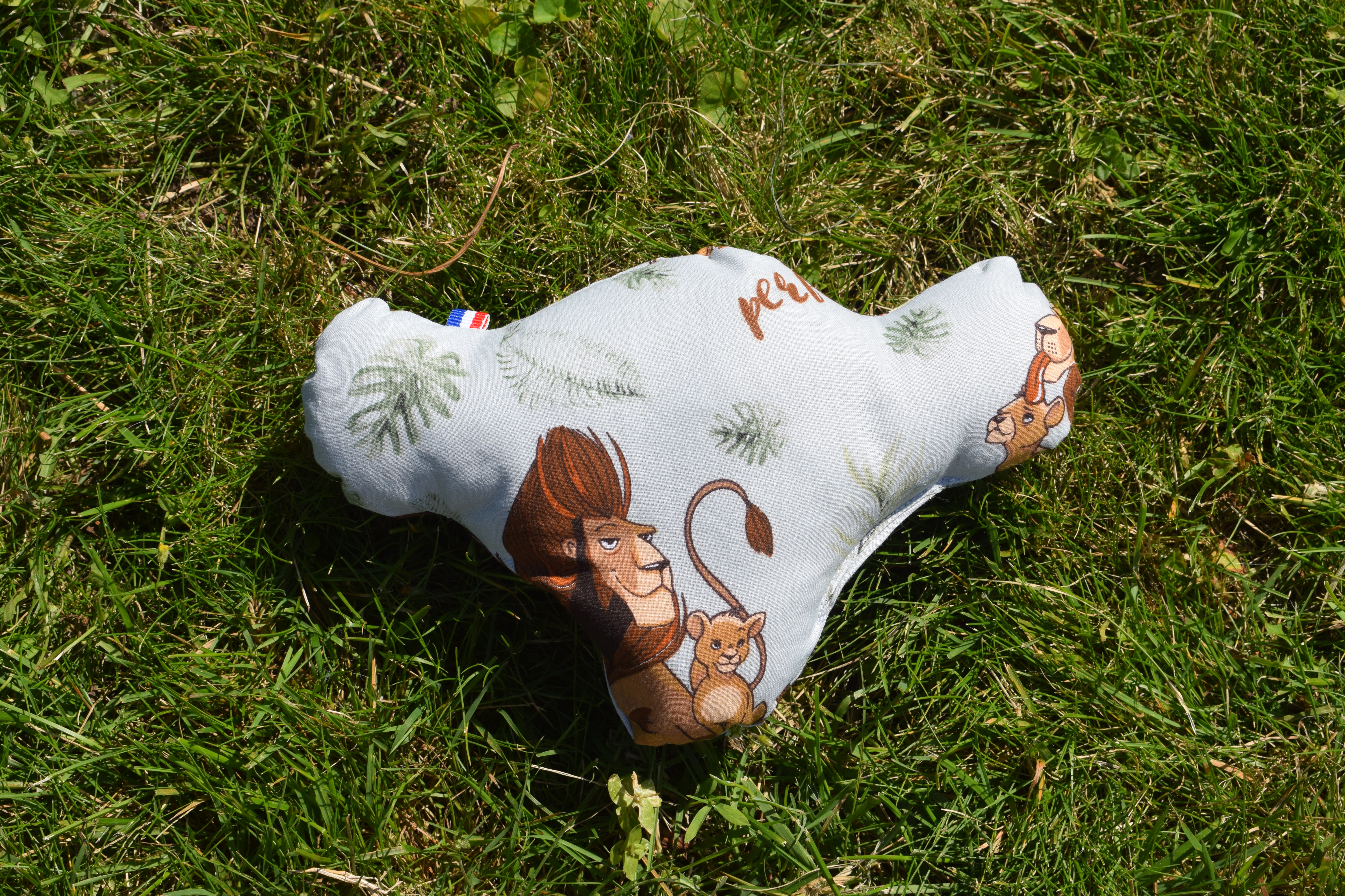 Tête de lion ( chien )