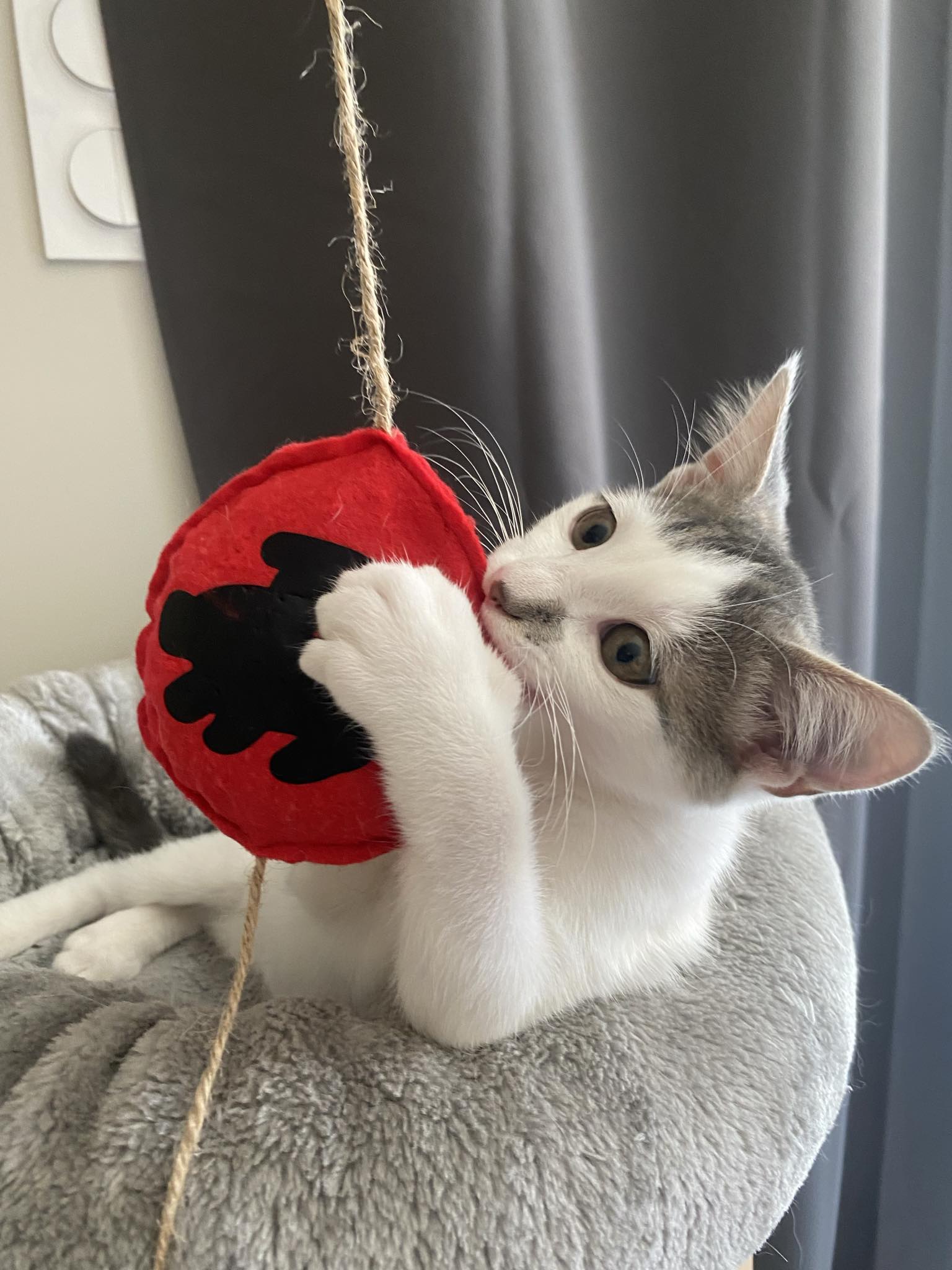 Suspension arbre à chat