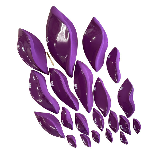  All Leaves FG DT - 21 Units 