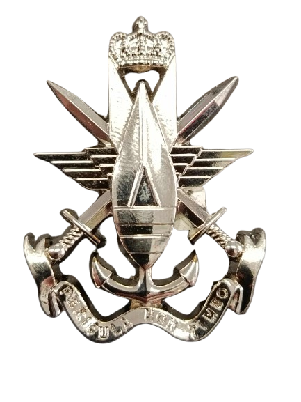 service deminage sedee belge 2011