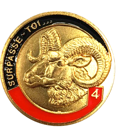 pièce commémorative 4e Bataillon de Génie 75éme 1913/1988