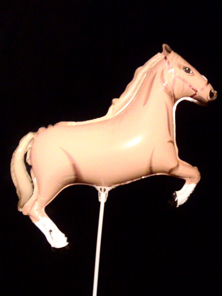 MINI BALLON AIR TIGE