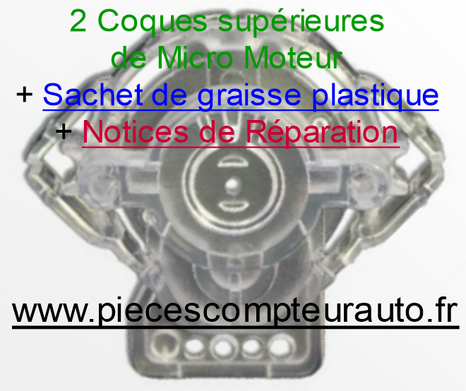Kit de réparation pour 2 Micros Moteurs de Renault Megane/Scenic/Clio compteur Jaeger