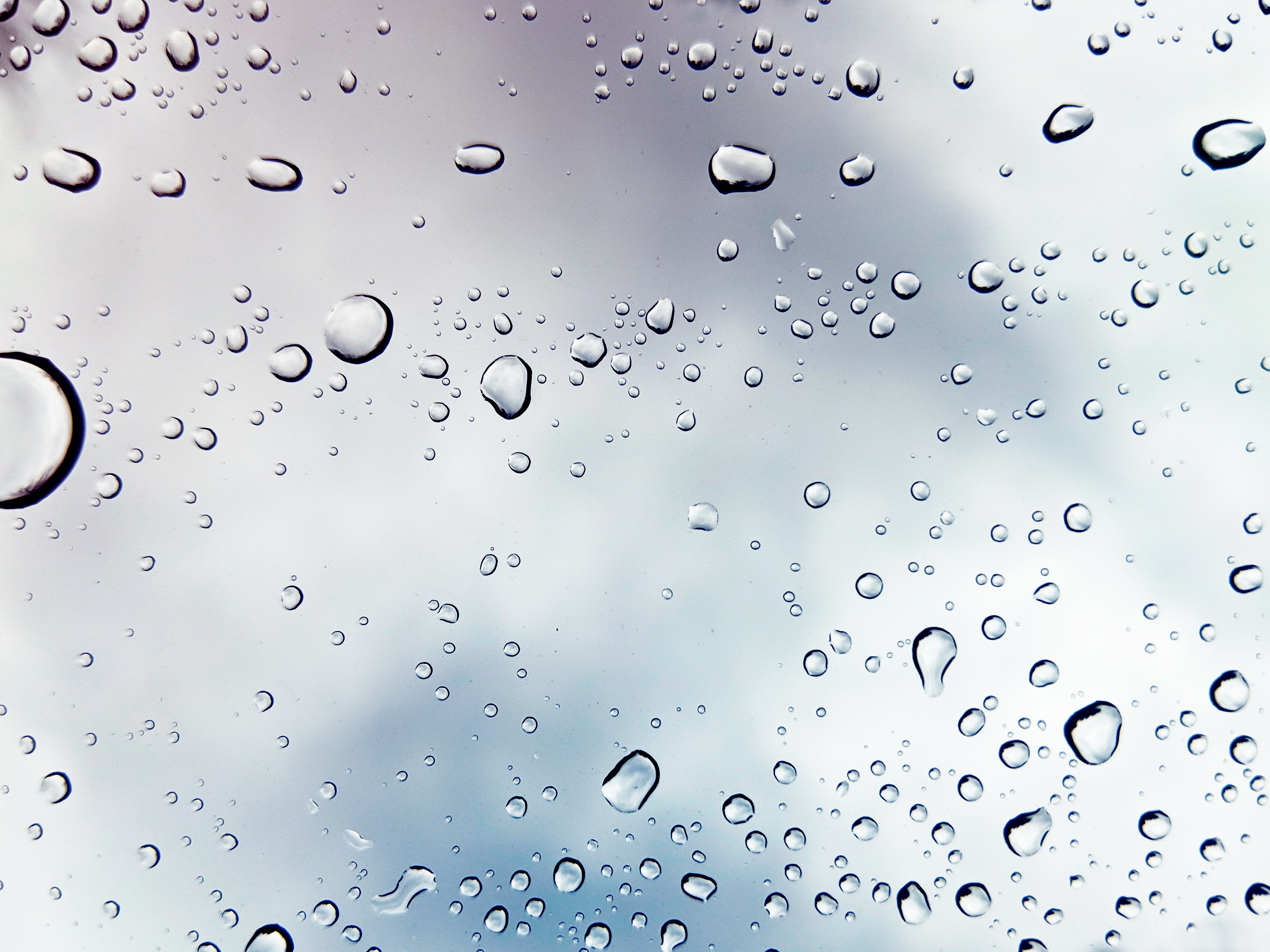 Macro shot photography of water drops 1028600