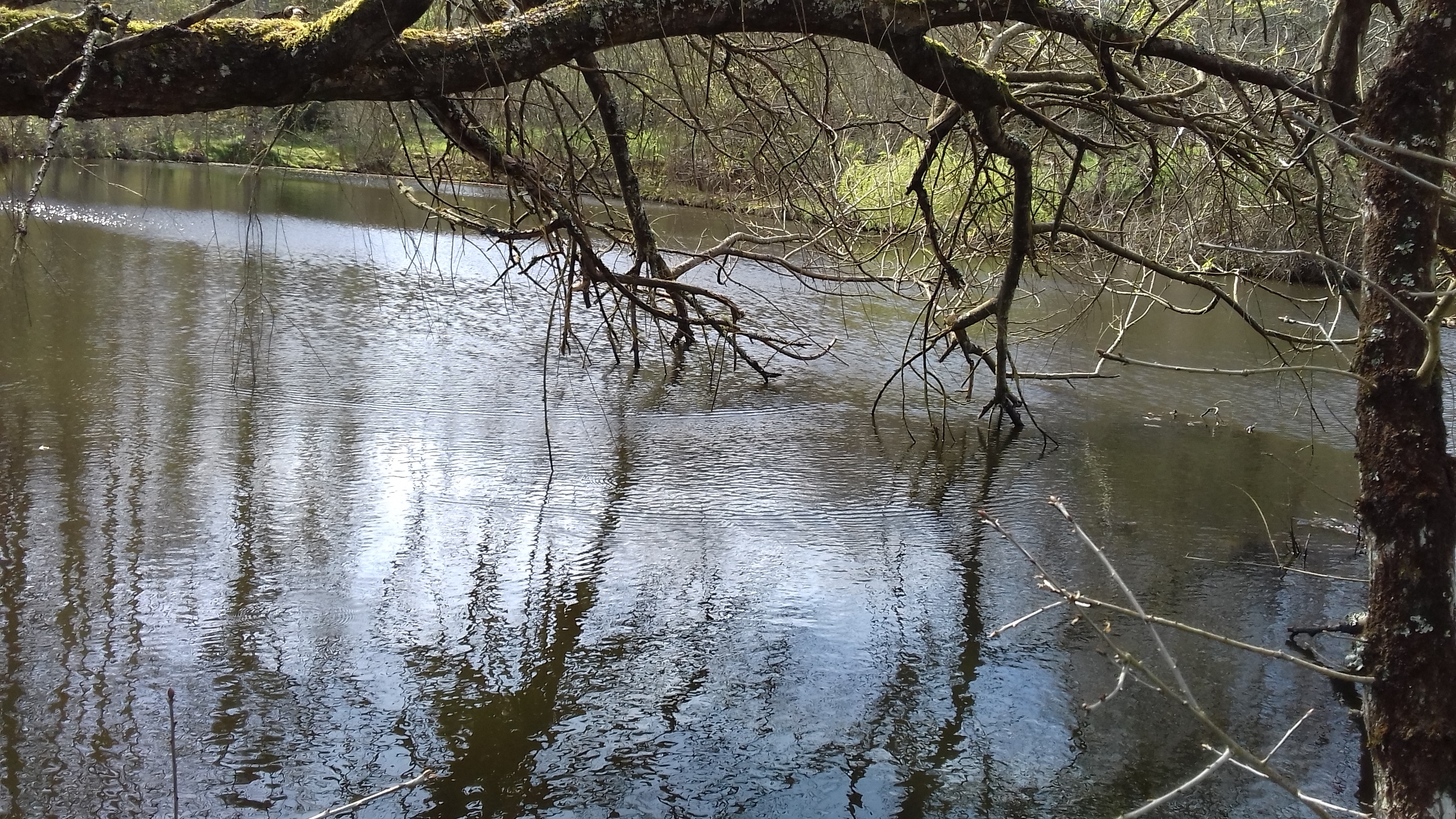 COMMUNE DE COADOUT ACCUEIL