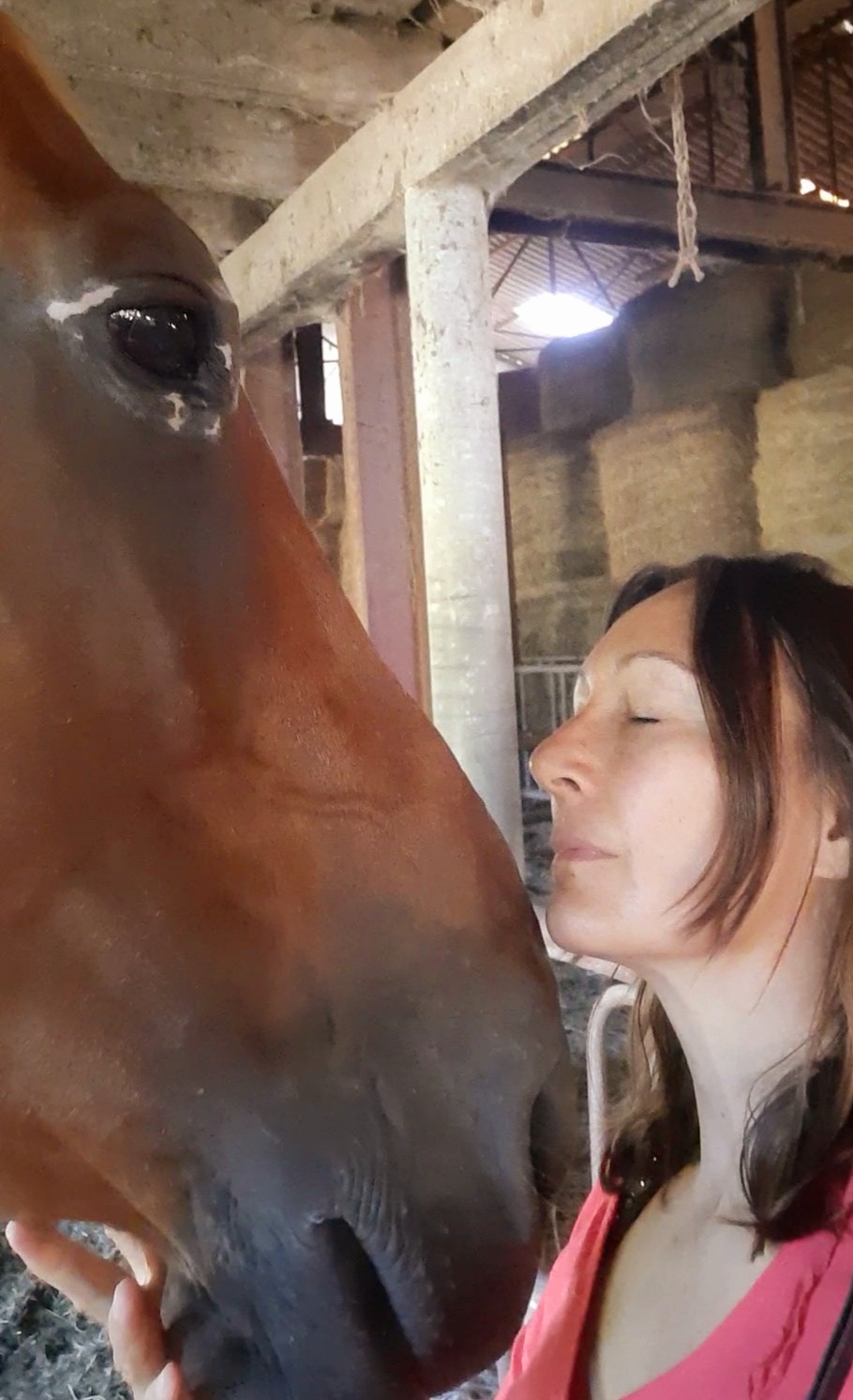 Communication Animale (tout animal) ~ Formule Confort