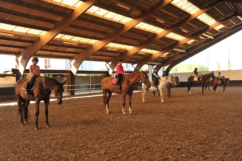 Stage équitation
