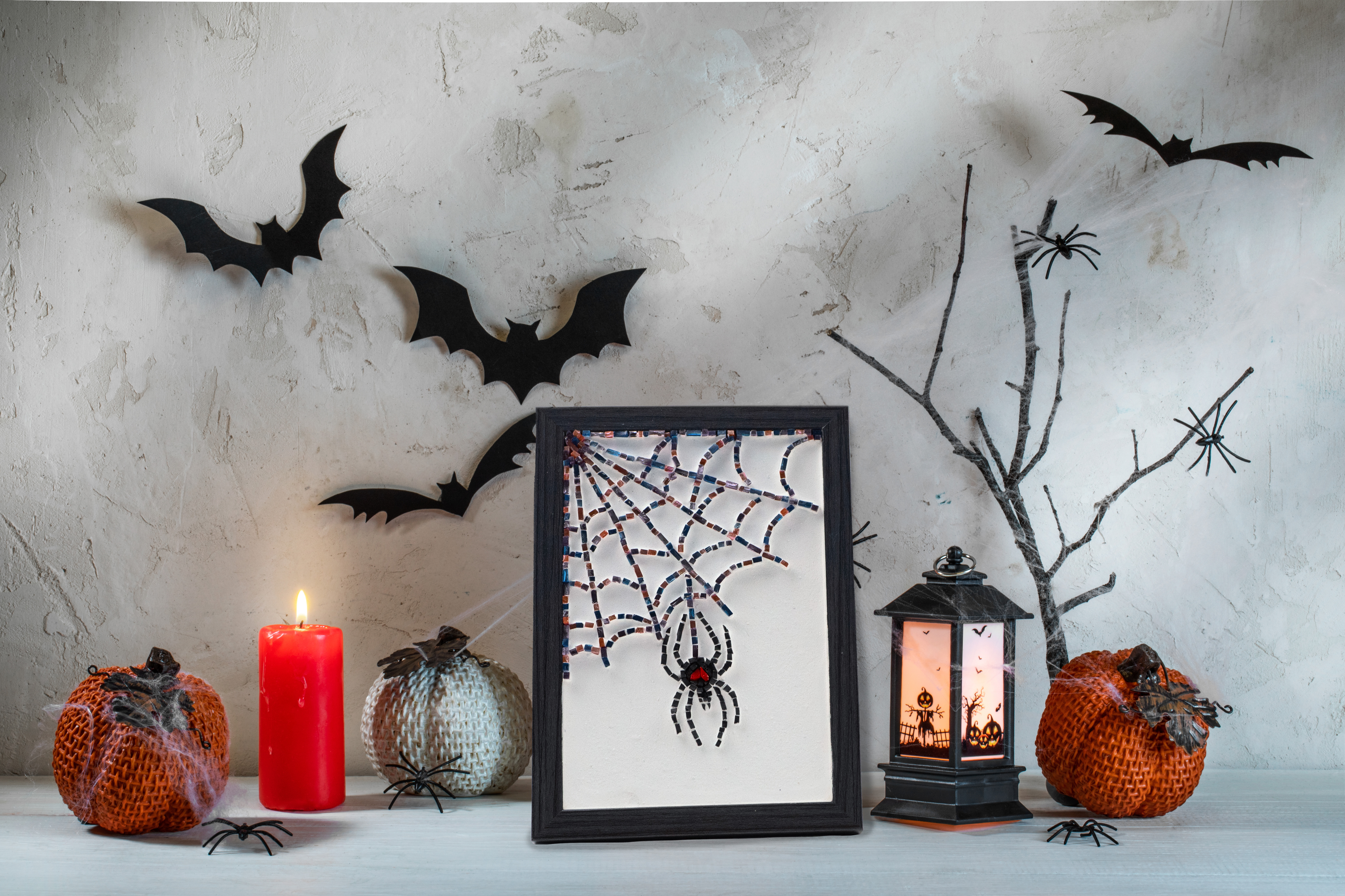 Spider heart