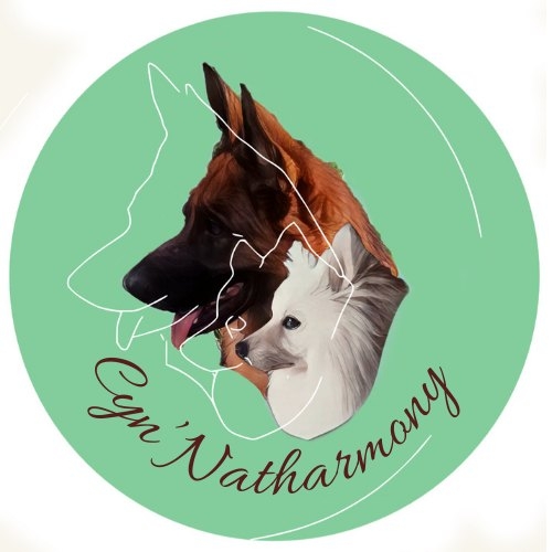 Prévention et communication canine