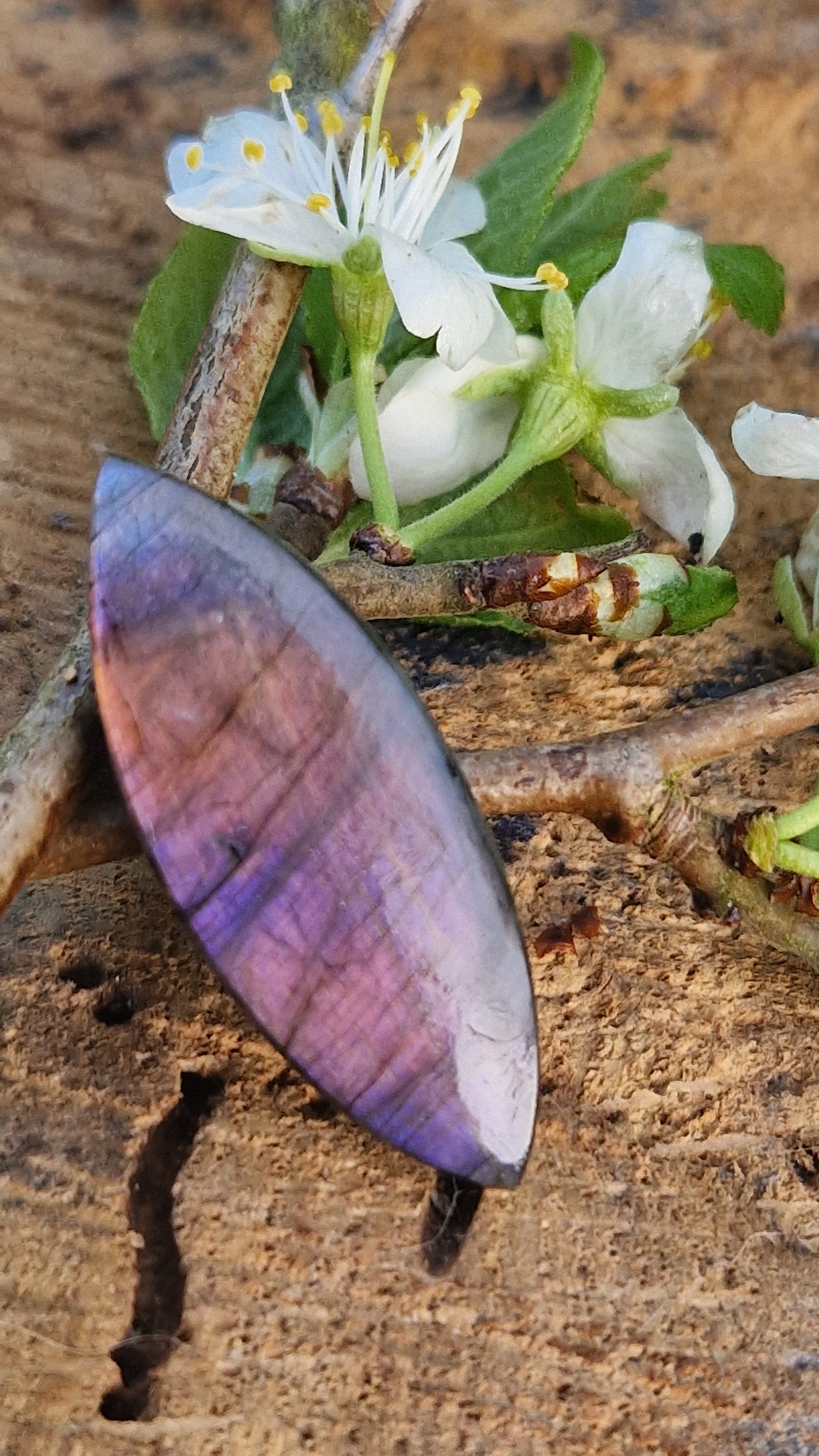 cabochon labradorite violette 