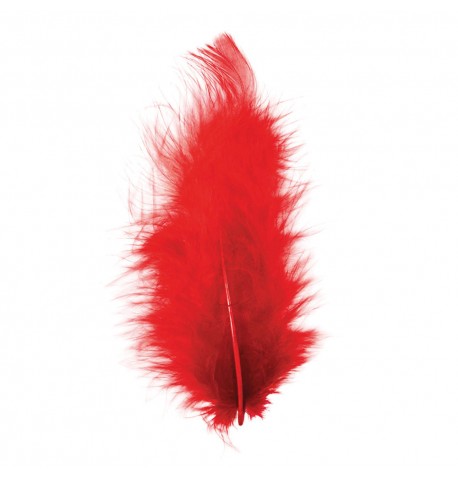 10 gr Plumes Rouge